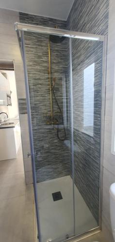 a shower with a glass door in a bathroom at APARTAMENTOS LA PALMERA in Fernán Pérez