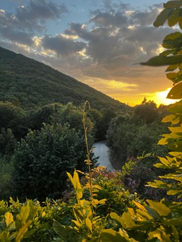 a river in the middle of a valley at sunset at B&B La Fucinaia Pet Friendly Adults only in Campiglia Marittima
