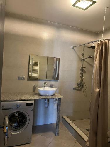 uma casa de banho com um lavatório e uma máquina de lavar roupa em Sunny Apartment in Didi Dighomi em Tbilisi
