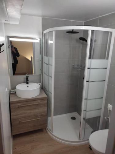 une salle de bain avec une douche, un lavabo et des toilettes dans l'établissement Gîte du Champ De La Pierre, à Faymont