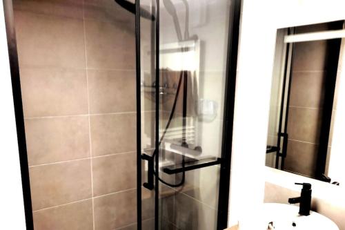 uma casa de banho com um chuveiro, um lavatório e um espelho. em Gîte du Champ De La Pierre em Faymont
