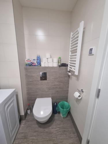 BežanijaにあるGrand Residenceのトイレと洗面台のある小さなバスルーム