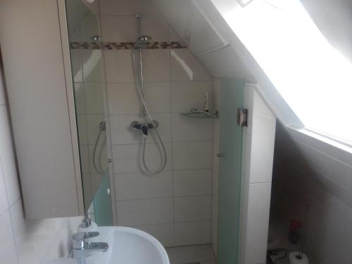 ein Bad mit einer Dusche und einem Waschbecken in der Unterkunft Ferienwohnung Sonnenblume in Leer