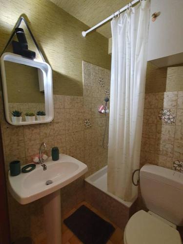 une salle de bain avec un lavabo, des toilettes et une douche dans l'établissement Studio cabine La Lagune Côté Espiguette, au Grau-du-Roi
