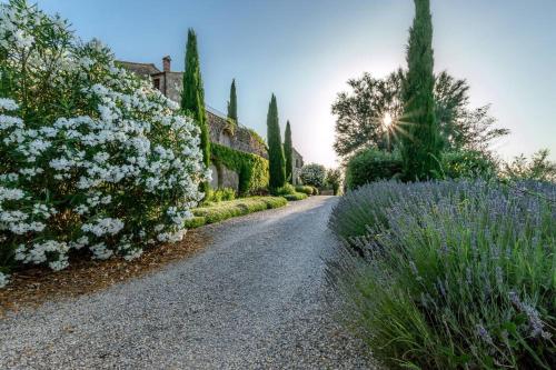 a gravel road with white flowers and a house at AffittiBreviSiena - Palazzo Monaci Appartamento con piscina nelle crete Senesi in Asciano