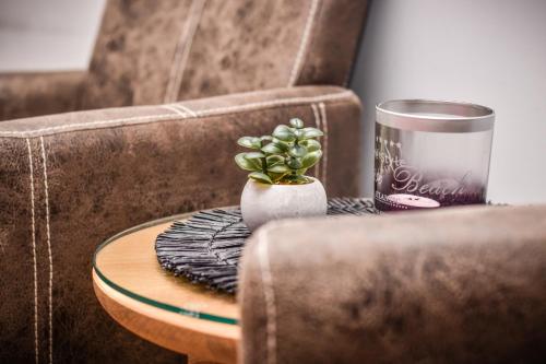 a coffee table with a plant in a vase on a couch at B&B Fruithof Tack in Sint-Gillis-Waas