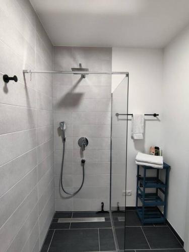 baño con ducha y puerta de cristal en Amstetten Penthouse en Amstetten