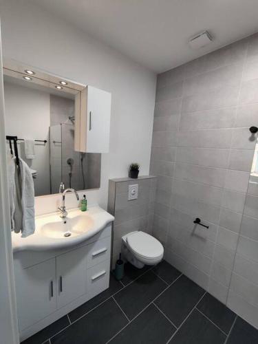 Baño blanco con lavabo y aseo en Amstetten Penthouse en Amstetten