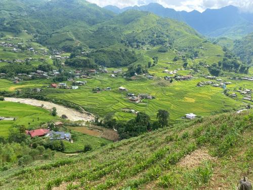 maison Rose & Jardinier eco homestay في Sa Pả: قرية صغيرة على تلة مع جبال في الخلفية
