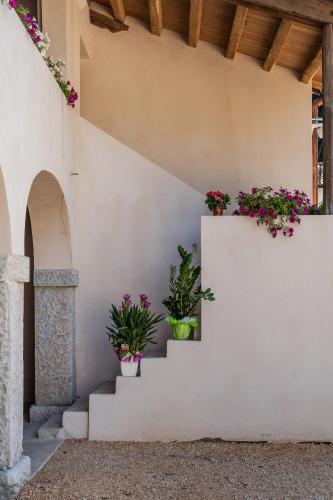 a white wall with two potted plants on the stairs at Agriturismo Il Bosco Camere in Vittorio Veneto