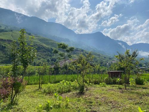 a field with trees and mountains in the background at maison Rose & Jardinier eco homestay in Sa Pả