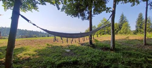 Landskap semula jadi dekat dengan rumah percutian