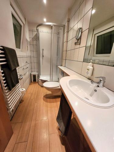 a bathroom with a shower and a sink and a toilet at Landhaus Kürrenberg in Mayen