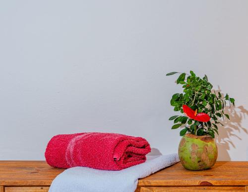 a red towel on a table next to a vase with a flower at Éden do Catu in Aquiraz