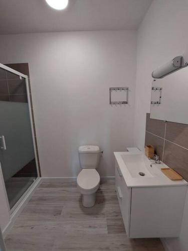 a white bathroom with a toilet and a sink at Superbe gite familial pour 10 personnes à Gizeux in Gizeux
