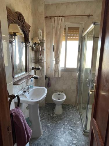 a bathroom with a sink and a toilet and a shower at Villa Nadimar - Casa rural con terraza magnífica y 4 habitaciones in Benecid