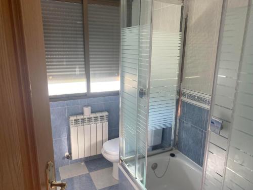 a bathroom with a toilet and a glass shower at Apartamentos en sierra de gata ALMA in Villamiel