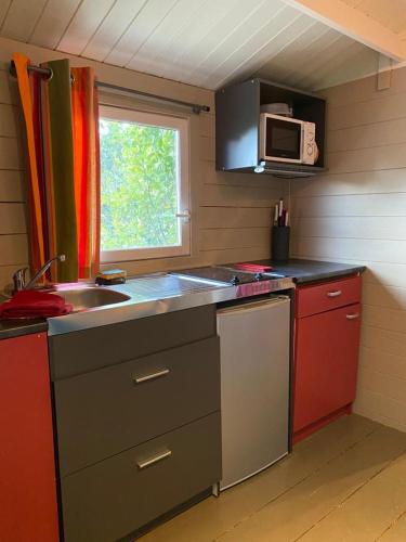 eine kleine Küche mit einer Spüle und einer Mikrowelle in der Unterkunft Tiny House au coeur des Combes in Seillans