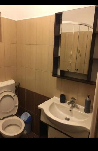 La salle de bains est pourvue de toilettes, d'un lavabo et d'un miroir. dans l'établissement CASA DAVID, à Voineşiţa