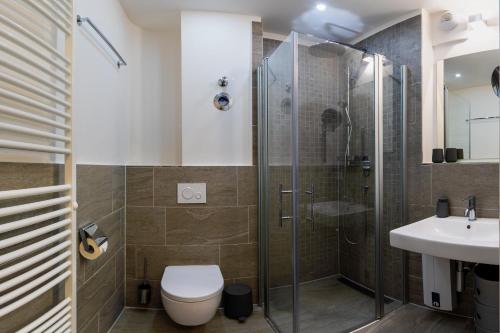 a bathroom with a shower and a toilet and a sink at Ohlerich Speicher Ohlerich Speicher 2-09 in Wismar
