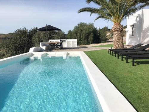 a swimming pool with chairs and a palm tree at Los Palmitos in Agua Amarga