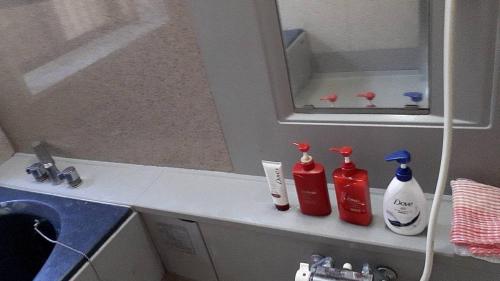 a bathroom with two bottles of detergent and a mirror at BANRYU 萬龍 バンリュウ in Iida