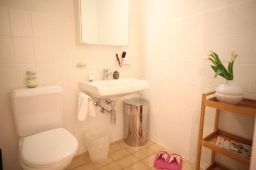 La salle de bains est pourvue de toilettes et d'un lavabo. dans l'établissement Nest - Hertizentrum 2, à Zoug
