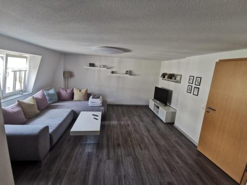 - un salon avec un canapé et une télévision dans l'établissement Apartment Bürgerstraße, 50 q.m., à Dresde