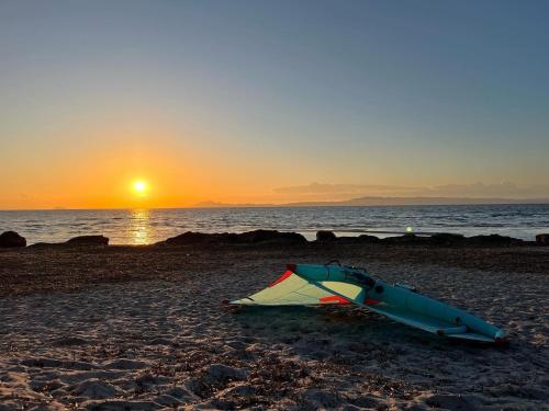 um papagaio sentado na praia ao pôr do sol em Il Salvatore em Masainas