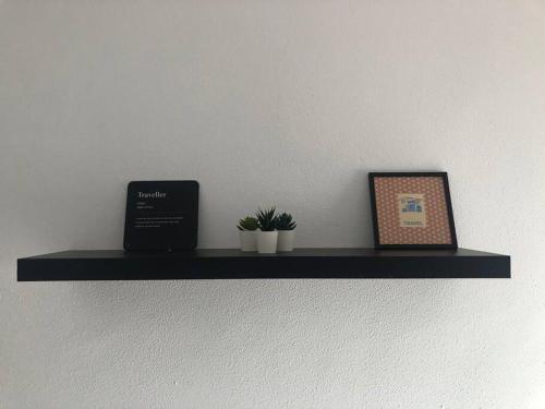 a shelf with two plants and a laptop on it at Piso los franchutes in Cabra