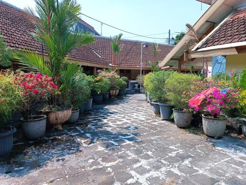 a row of potted plants in pots on a patio at Hotel Maerakatja Yogyakarta in Jetis