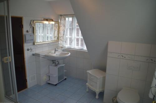 a bathroom with a sink and a toilet at Inselblick in Dunsum