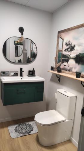 ein Badezimmer mit einem weißen WC und einem Spiegel in der Unterkunft habitación doble con aseo compartido in Coria del Río