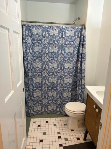 a bathroom with a toilet and a blue shower curtain at Lord Medford Apartments in Medford