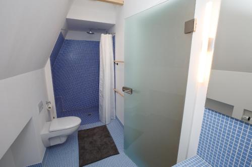 a bathroom with a toilet and a shower with blue tiles at Scheune Borgsum in Borgsum
