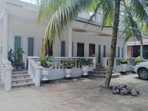 una casa bianca con una palma di fronte di Tamayo Beach Resort a Labason