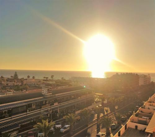 Tenerife Flamingo, Palm-Mar – Precios 2023 actualizados