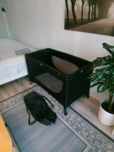 een zwart hondenbed in een woonkamer met een plant bij Parantolankatu modern one room apartment in Hyvinkää