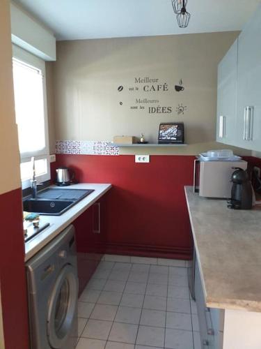 une cuisine avec un évier et une machine à laver dans l'établissement Le Saphir - Appartement et terrasse, à Margny-lès-Compiègne