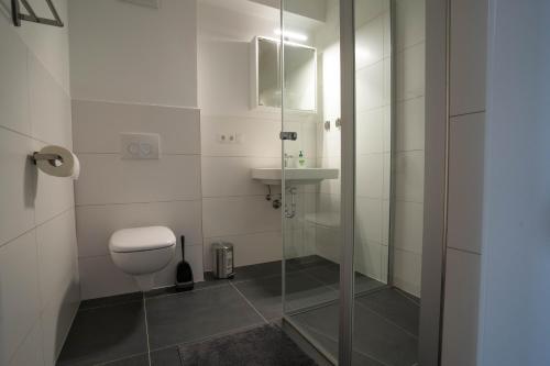 een badkamer met een douche, een toilet en een wastafel bij Modernes Ferienapartment: Komfort & Wohlfühlen in Fuldatal