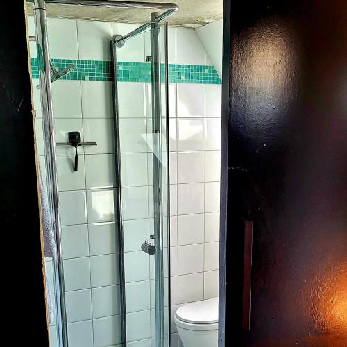 a bathroom with a glass shower with a toilet at Loft de la raquette in Mons