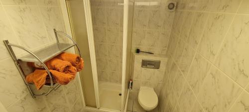 y baño pequeño con ducha y aseo. en Mobiliertes Appartement, en Bad Homburg vor der Höhe