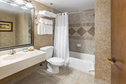Arrowwood Resort Hotel and Conference Center - Alexandria في الإسكندرية: حمام مع مرحاض ومغسلة وحوض استحمام