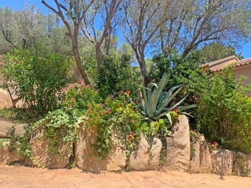 a garden with flowers and a plant on a rock at Hôtel Maora Village in Bonifacio