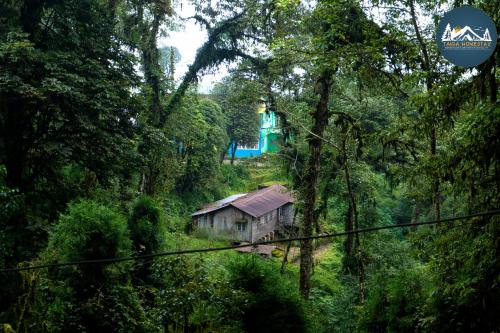 uma velha cabana no meio de uma floresta em Taiga Homestay, Lepchajagat, Darjeeling em Darjeeling