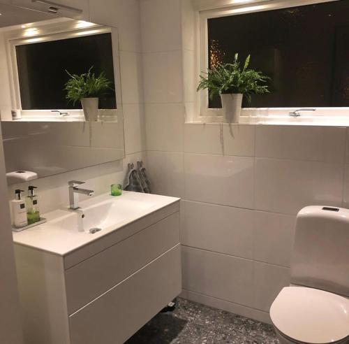 a bathroom with a sink and a toilet and two windows at Luxurious house 20 minutes from Malmö Arena 