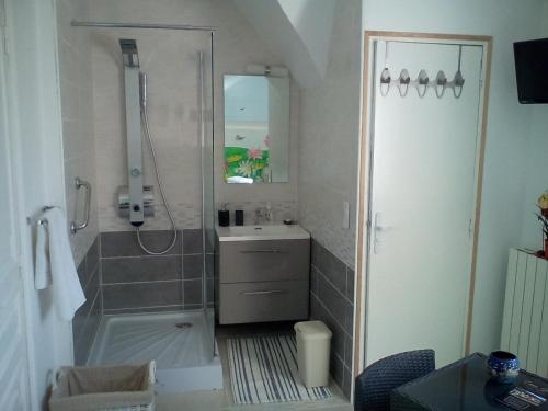 uma casa de banho com um chuveiro e um lavatório. em Le Relais De Dalibray em Seraincourt