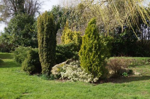 a garden with bushes and trees in a field at Le Relais De Dalibray in Seraincourt