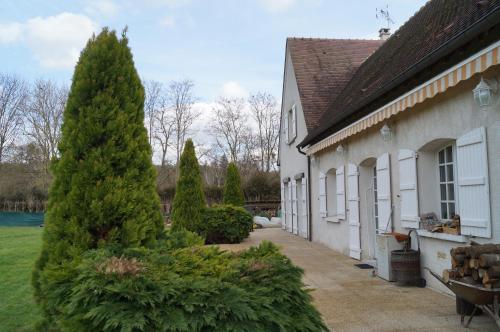 a large pine tree next to a house at Le Relais De Dalibray in Seraincourt