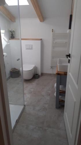 a bathroom with a shower and a toilet and a sink at Casa Mara Viseu de Sus in Vişeu de Sus